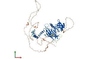 AlphaFold protein structure predicition of Mouse Recombinant Grhl3 Protein, UniprotID Q5FWH3