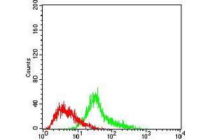 Flow Cytometry (FACS) image for anti-Multiple Endocrine Neoplasia 1 (MEN1) (AA 392-554) antibody (ABIN2682998)