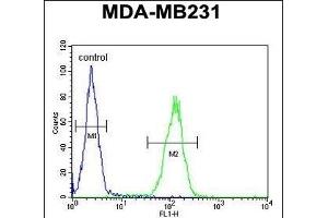 PRB2 Antibody (C-term) (ABIN6244055 and ABIN6578967) flow cytometric analysis of MDA-M cells (right histogram) compared to a negative control cell (left histogram). (PRB2 antibody  (C-Term))