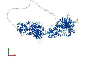 AlphaFold protein structure predicition of Mouse Recombinant Hk1 Protein, UniprotID P17710 (Hexokinase 1 Protein (HK1) (AA 1-974) (His tag))