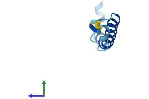 AlphaFold protein structure predicition of Human Recombinant UQCR11 Protein, UniprotID O14957