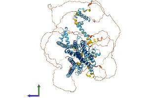 Protein Structure (PS) image for Transmembrane Channel-Like 5 (Tmc5) (AA 1-1006) protein (His tag) (ABIN7555828)