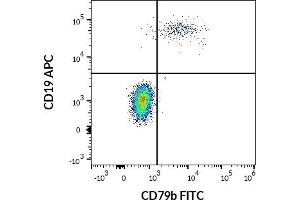 Flow cytometry multicolor surface staining pattern of human lymphocytes using anti-human CD19 (LT19) APC antibody (10 μL reagent / 100 μL of peripheral whole blood) and anti-human CD79b (CB3-1) FITC antibody (4 μL reagent / 100 μL of peripheral whole blood).