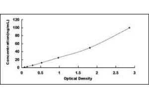 Typical standard curve (SLC7A9 ELISA Kit)