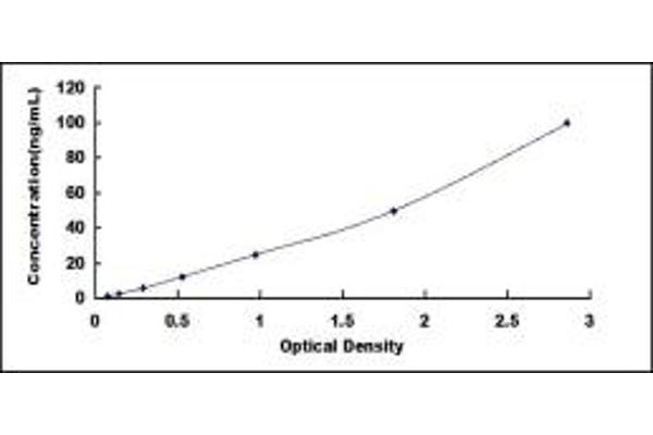 SLC7A9 ELISA Kit