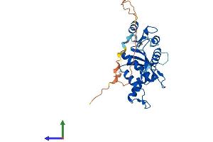 AlphaFold protein structure predicition of Human Recombinant RNASEH1 Protein, UniprotID O60930 (Ribonuclease H1 Protein (RNASEH1) (AA 1-286) (His tag))