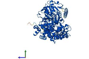 AlphaFold protein structure predicition of Mouse Recombinant Ehhadh Protein, UniprotID Q9DBM2 (EHHADH Protein (AA 1-718) (His tag))