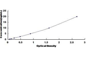 Glycine Dehydrogenase (GLDC) ELISA Kit