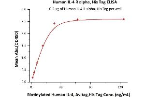 Immobilized Human IL-4 R alpha, His Tag (ABIN2181320,ABIN2181319) at 5 μg/mL (100 μL/well) can bind Biotinylated Human IL-4, Avitag,His Tag (ABIN3137668,ABIN5674029) with a linear range of 2-16 ng/mL (QC tested). (IL4 Receptor Protein (AA 26-232) (His tag))