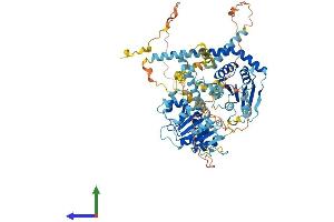 AlphaFold protein structure predicition of Mouse Recombinant Ddx27 Protein, UniprotID Q921N6 (DDX27 Protein (AA 1-760) (His tag))