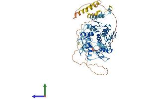 Protein Structure (PS) image for Zinc Finger Protein 846 (ZNF846) (AA 1-533) protein (His tag) (ABIN7545504)