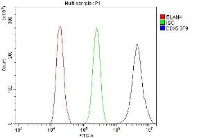 Flow Cytometry analysis of A431 cells using anti- DDX5 antibody (ABIN7602561).