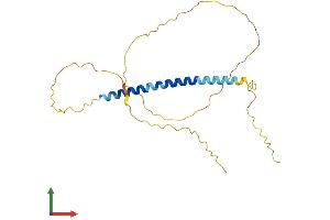 AlphaFold protein structure predicition of Human Recombinant TCEAL2 Protein, UniprotID Q9H3H9 (TCEAL2 Protein (AA 1-227) (His tag))