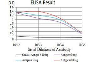 Black line: Control Antigen (100 ng);Purple line: Antigen (10ng); Blue line: Antigen (50 ng); Red line:Antigen (100 ng) (MOB1A antibody  (AA 1-216))
