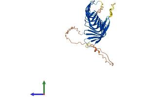 Protein Structure (PS) image for Radial Spoke Head 1 Homolog (RSPH1) (AA 1-301) protein (His tag) (ABIN7559957)