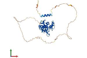 Protein Structure (PS) image for Interferon Stimulated Exonuclease Gene 20kDa-Like 2 (ISG20L2) (AA 1-368) protein (His tag) (ABIN7557125)