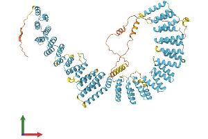 Protein Structure (PS) image for XPA Binding Protein 2 (XAB2) (AA 1-855) protein (His tag) (ABIN7544058)