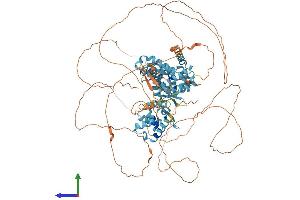 AlphaFold protein structure predicition of Mouse Recombinant Magee1 Protein, UniprotID Q6PCZ4 (MAGEE1 Protein (AA 1-918) (His tag))
