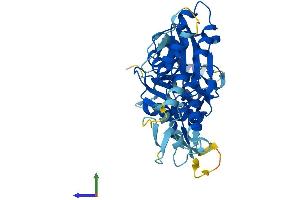 AlphaFold protein structure predicition of Human Recombinant ACTL8 Protein, UniprotID Q9H568 (Actin-Like 8 Protein (ACTL8) (AA 1-366) (His tag))