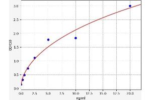 SH3BP2 ELISA Kit