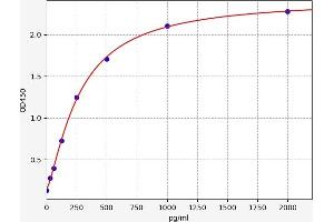 Typical standard curve (CCL5 ELISA Kit)