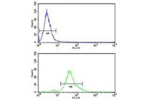 ACP1 antibody flow cytometry analysis of human HeLa cells (bottom histogram) compared to a negative control (top histogram). (ACP1 antibody  (AA 33-61))