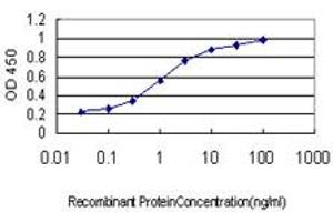 Detection limit for recombinant GST tagged KREMEN1 is approximately 0. (KREMEN1 antibody  (AA 310-391))