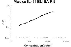 Mouse IL-11 Accusignal ELISA Kit Mouse IL-11 AccuSignal ELISA Kit standard curve. (IL-11 ELISA Kit)