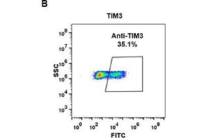 Flow Cytometry (FACS) image for anti-Hepatitis A Virus Cellular Receptor 2 (TIM 3) (AA 22-202) antibody (ABIN7289719) (TIM3 antibody  (AA 22-202))