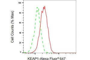 Flow cytometric analysis of KEAP1 expression in HAP-1 cells using KEAP1 antibody ( (ABIN7799161), 1:2,000). (KEAP1 antibody)