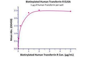 Binding Studies (Bind) image for Transferrin Receptor (p90, CD71) (TFRC) (AA 89-760) (Active) protein (His tag,Biotin) (ABIN2444223)