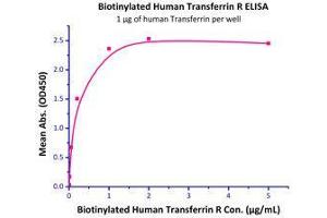 Immobilized Human Transferrin, His Tag (Cat# TRN-H4229) at 10 μg/mL (100 µL/well),can bind Biotinylated Human Transferrin R (Cat# TFR-H8243) with a linear range of 2-200 ng/mL.
