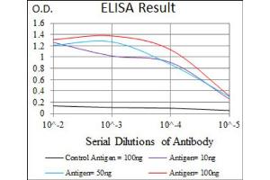 Red: Control Antigen (100ng) ; Purple: Antigen (10ng) ; Green: Antigen (50ng) ; Blue: Antigen (100ng). (CD5 antibody  (AA 27-233))