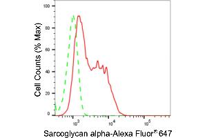 Flow cytometric analysis of Sarcoglycan alpha expression in C2C12 cells using Sarcoglycan alpha antibody (ABIN7800271), 1:2,000). (Recombinant SGCA antibody)