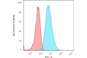 Flow Cytometric Analysis of HeLa cells using Cytokeratin 7 Mouse Monoclonal Antibody (OV-TL12/30) followed by Goat anti-Mouse IgG-CF488 (Blue); Isotype Control (Red).