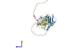 Protein Structure (PS) image for Sjogren Syndrome Antigen B (SSB) (AA 1-408) protein (His tag) (ABIN7548884)