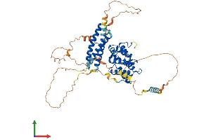 Protein Structure (PS) image for Target of Myb1-Like 2 (TOM1L2) (AA 1-507) protein (His tag) (ABIN7557526)