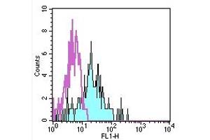 Image no. 1 for anti-Integrin, alpha X (Complement Component 3 Receptor 4 Subunit) (ITGAX) antibody (FITC) (ABIN476567) (CD11c antibody  (FITC))