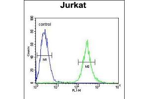 Flow cytometric analysis of Jurkat cells (right histogram) compared to a negative control cell (left histogram). (APITD1 antibody  (AA 48-74))