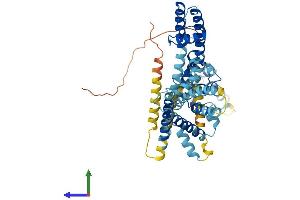 AlphaFold protein structure predicition of Mouse Recombinant Kcnv1 Protein, UniprotID Q8BZN2