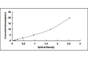 Typical standard curve (SLC12A1 ELISA Kit)