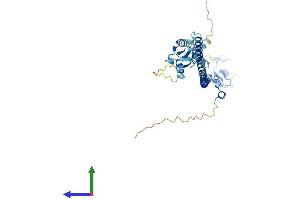 AlphaFold protein structure predicition of Mouse Recombinant Trim63 Protein, UniprotID Q38HM4