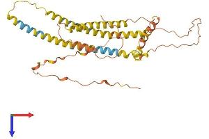 AlphaFold protein structure predicition of Human Recombinant NPIPA3 Protein, UniprotID F8WFD2 (NPIPA3 Protein (AA 1-350) (His tag))