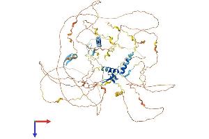 AlphaFold protein structure predicition of Mouse Recombinant Sobp Protein, UniprotID Q0P5V2 (SOBP Protein (AA 1-864) (His tag))