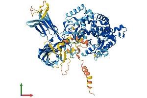 AlphaFold protein structure predicition of Human Recombinant PLA2G4F Protein, UniprotID Q68DD2 (PLA2G4F Protein (AA 1-849) (His tag))