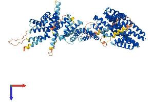 AlphaFold protein structure predicition of Human Recombinant TTC7A Protein, UniprotID Q9ULT0