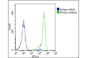 Overlay histogram showing U-2 OS cells stained with (ABIN6243315 and ABIN6578853)(green line). (TCIRG1 antibody  (AA 668-702))