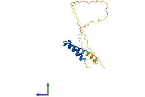 Protein Structure (PS) image for Chromosome Y Open Reading Frame 15B (CYorf15B) (AA 1-131) protein (His tag) (ABIN7544824)