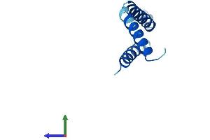 Protein Structure (PS) image for Dolichyl-Phosphate Mannosyltransferase Polypeptide 3 (DPM3) (AA 1-92) protein (His tag) (ABIN7560891)