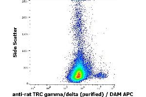 Flow cytometry surface staining pattern of rat splenocytes stained using anti-rat TCR gamma/delta (V65) purified antibody (concentration in sample 0,6 μg/mL, DAM APC). (TCR gamma/delta antibody)